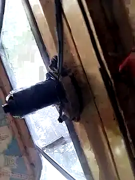 DulajThushara2468 webcam