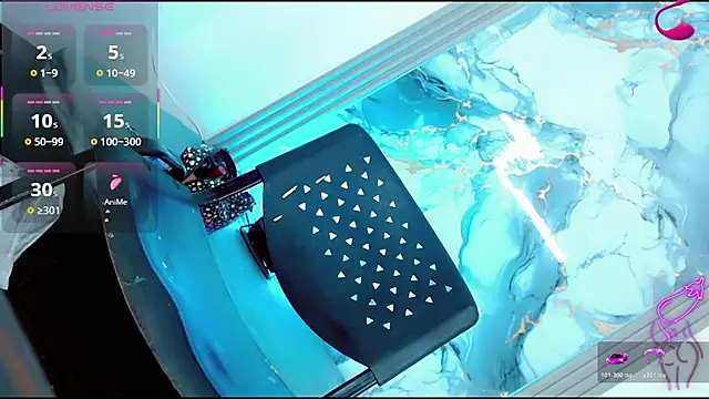 madison_mujica_ webcam