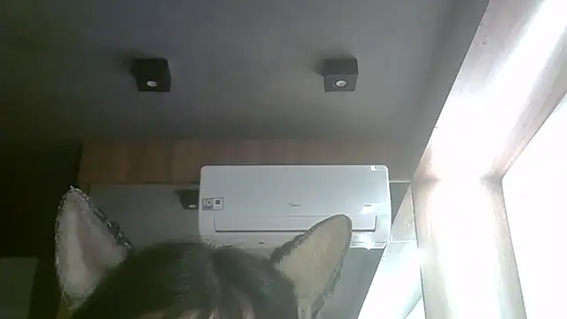 SkinnyKitten webcam