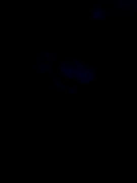 DodderedSitka webcam