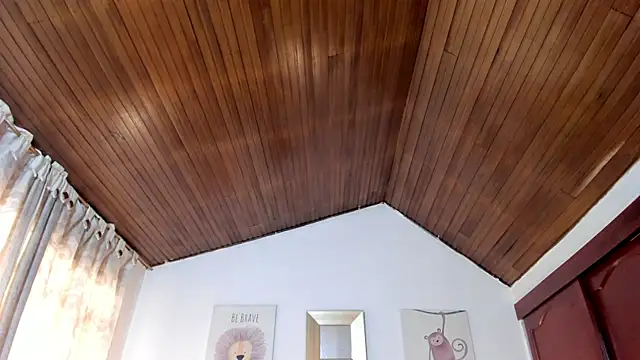 CelessteRedds webcam