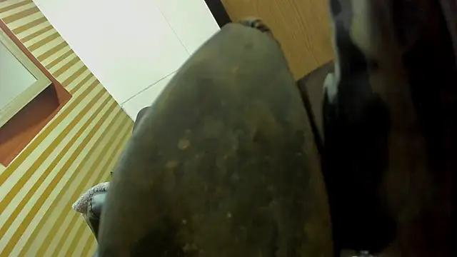 Scarlett_Barnes webcam