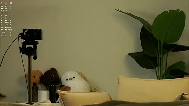 AunclreaVache webcam