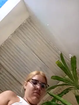 single_kitten webcam