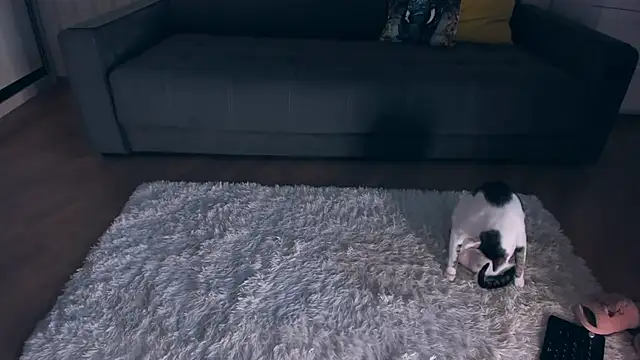 Jessica_Rubatte webcam