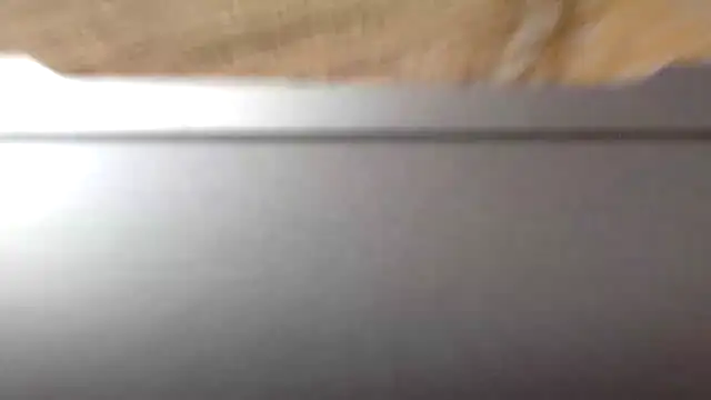 Crazy_TBM-BWC webcam