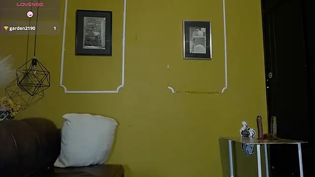 AmericaMillan_ds webcam