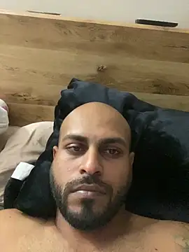 islandvybee55 webcam