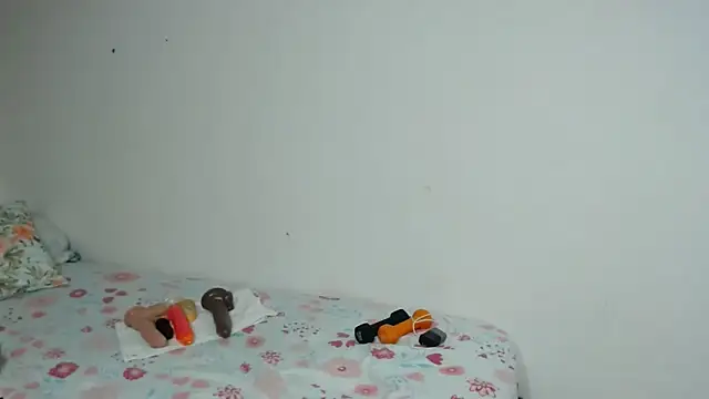 Agatha_browser webcam