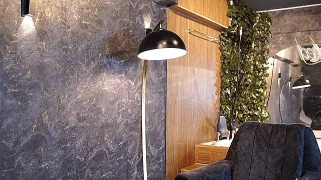 Ethan_occonor webcam