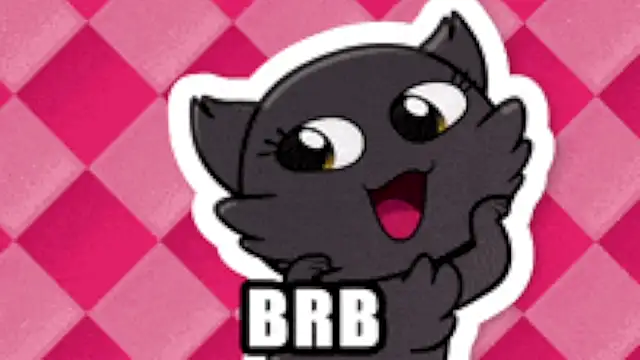 Genesis_Montenegro_OA webcam