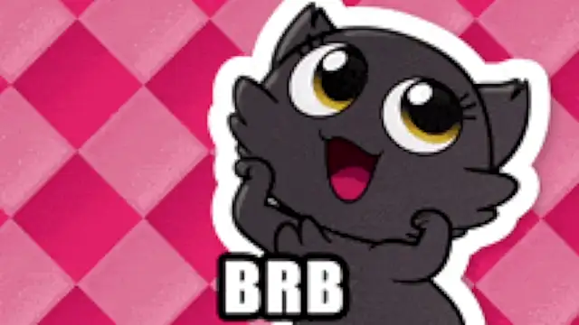 Genesis_Montenegro_OA webcam