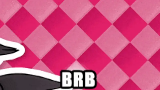 Genesis_Montenegro_OA webcam