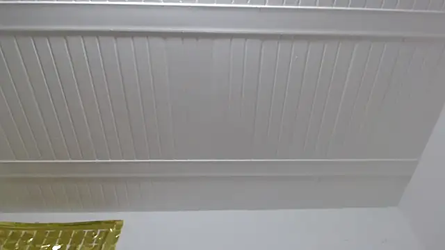 ElizabethMiler webcam