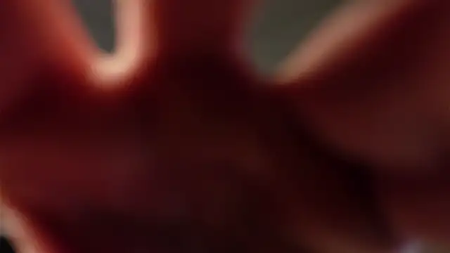 Brad_Holloway live sex cam