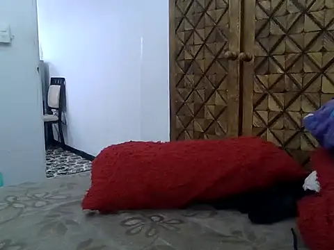 TeddyVeggas webcam