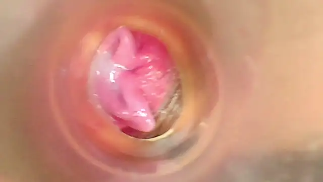 shannon_kinne_ webcam