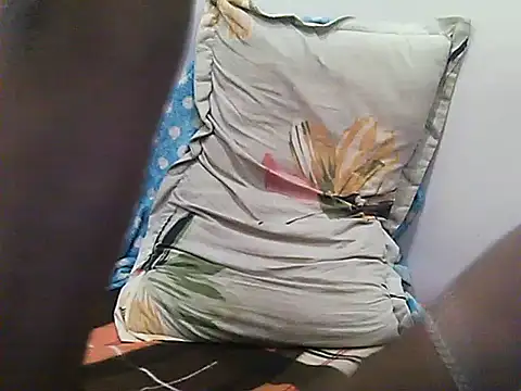 Kalalund_up32 webcam