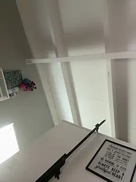 leakysushicat webcam