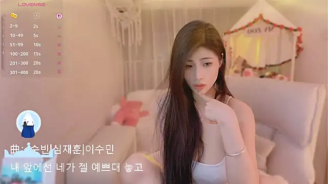 Vaidurya-Yolo webcam