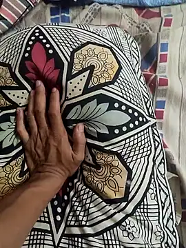 HurdlingShuttle webcam