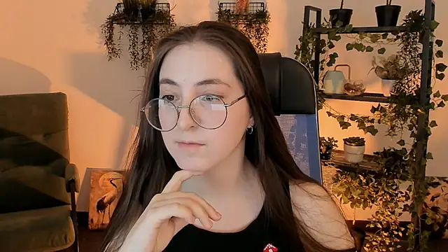 VirtuallVoyant webcam