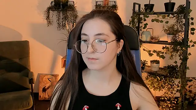 VirtuallVoyant webcam