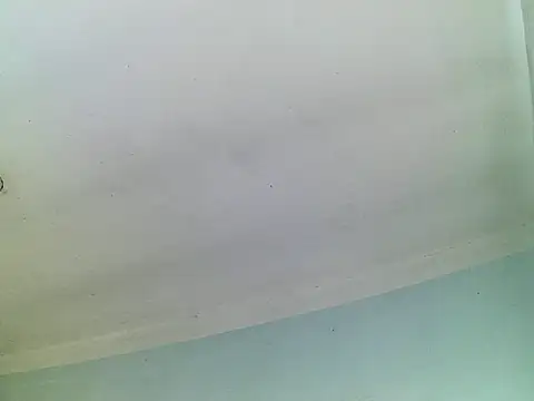 frutillita_g2026 webcam