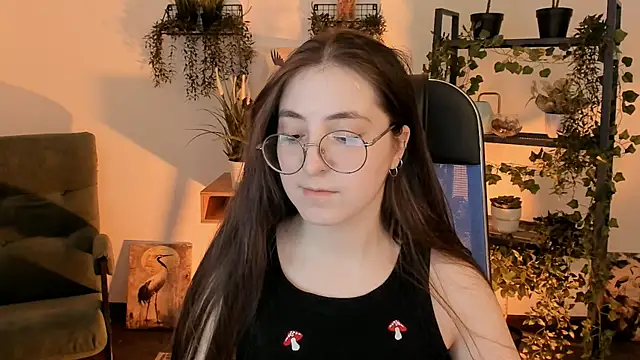 VirtuallVoyant webcam