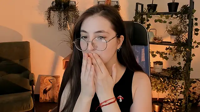 VirtuallVoyant webcam