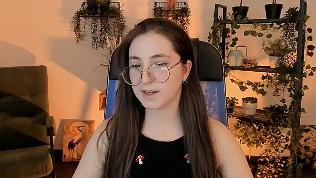 VirtuallVoyant webcam