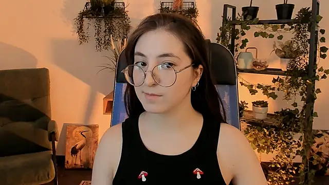 VirtuallVoyant webcam