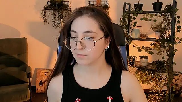 VirtuallVoyant webcam