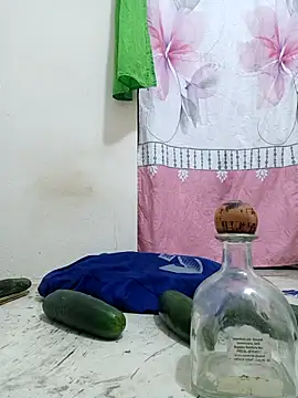 El-SingoKario webcam