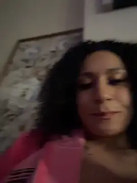 FerrariFrench webcam