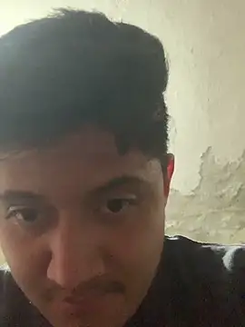 LaCerdaEstupida_ webcam