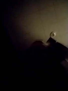 AceticPinscher webcam