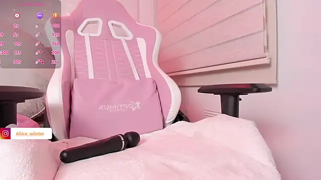 Alice_winter_ webcam