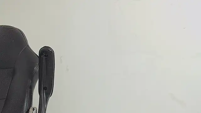 brant_garciabbc webcam