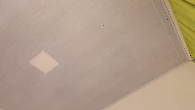 Pammela_Smith webcam