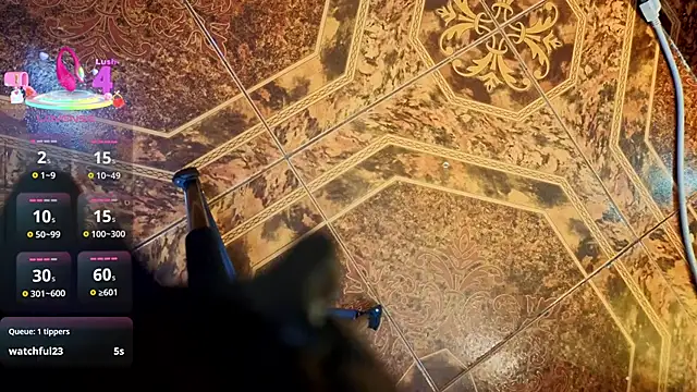 Starlight_Matures_aws webcam