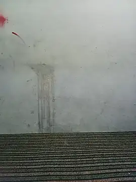 School_teacher12 webcam