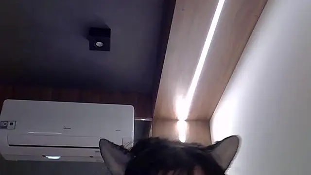 SkinnyKitten webcam