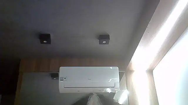 SkinnyKitten webcam