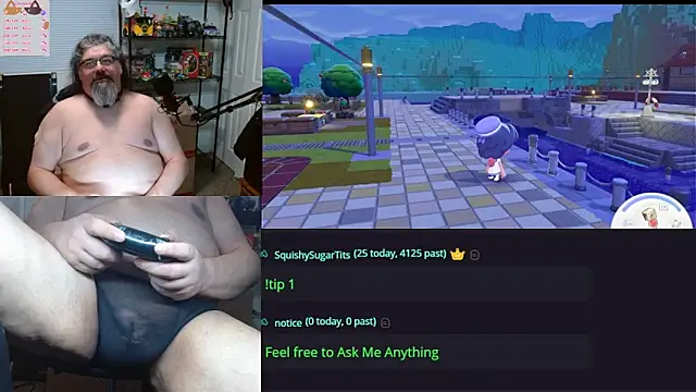 geekycastillo webcam