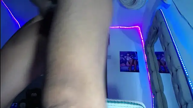 TRANSCATALINA webcam