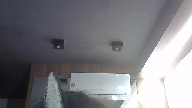 SkinnyKitten webcam