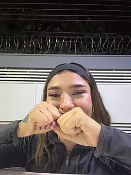 Arianavillada webcam