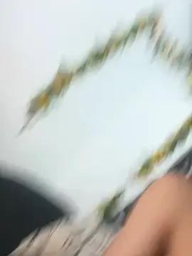 militoveruss2 webcam