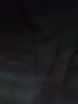 cobrosdepagos webcam